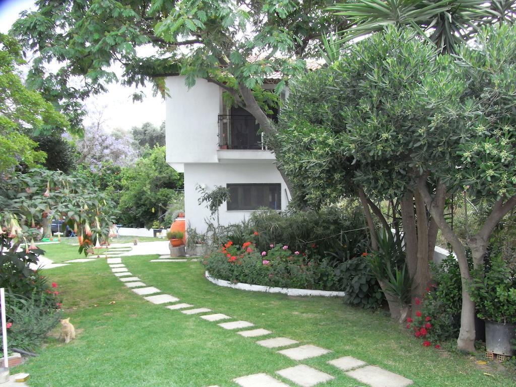 Villa Yiannis (Adults Only) Μεγάλη Άμμος Εξωτερικό φωτογραφία