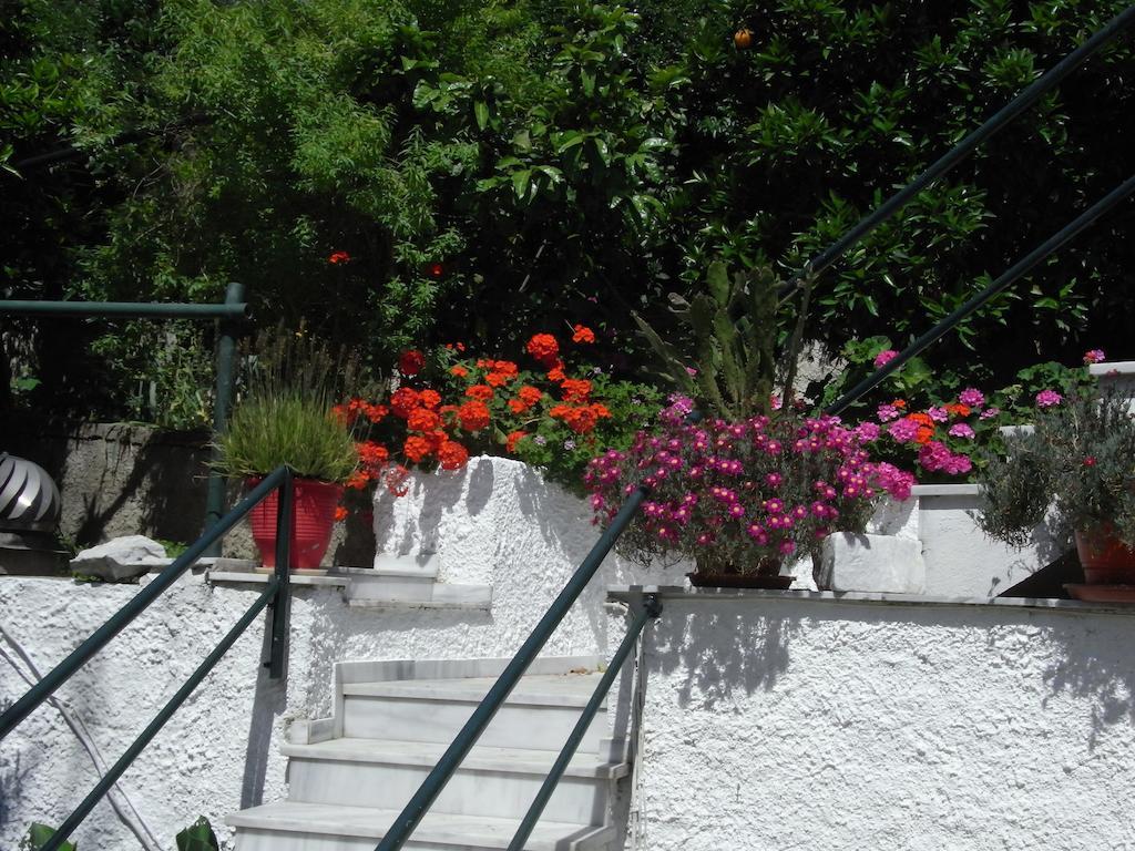 Villa Yiannis (Adults Only) Μεγάλη Άμμος Εξωτερικό φωτογραφία